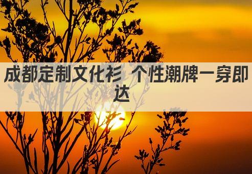 成都定制文化衫 个性潮牌一穿即达 