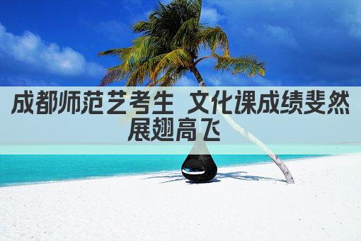 成都师范艺考生 文化课成绩斐然展翅高飞 