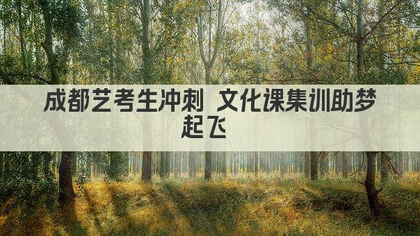 成都艺考生冲刺 文化课集训助梦起飞 
