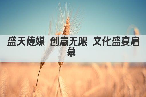 盛天传媒 创意无限 文化盛宴启幕 