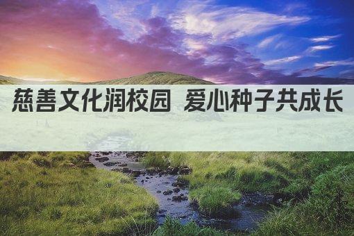 慈善文化润校园 爱心种子共成长 