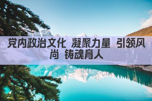 党内政治文化 凝聚力量 引领风尚 铸魂育人