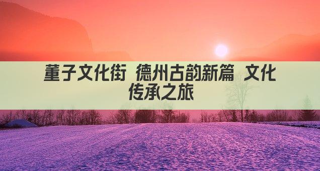 董子文化街 德州古韵新篇 文化传承之旅