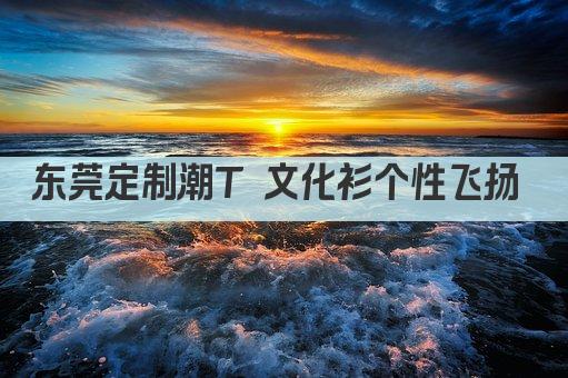 东莞定制潮T 文化衫个性飞扬 