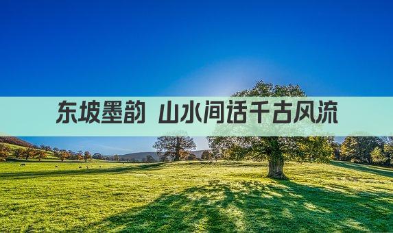 东坡墨韵 山水间话千古风流
