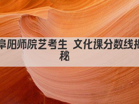 阜阳师院艺考生 文化课分数线揭秘  
