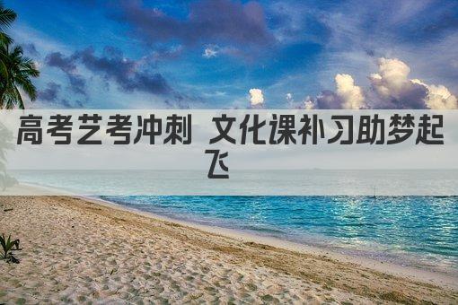 高考艺考冲刺 文化课补习助梦起飞  