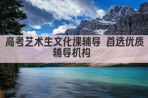 高考艺术生文化课辅导 首选优质辅导机构 