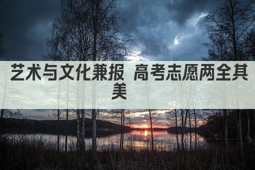 艺术与文化兼报 高考志愿两全其美  