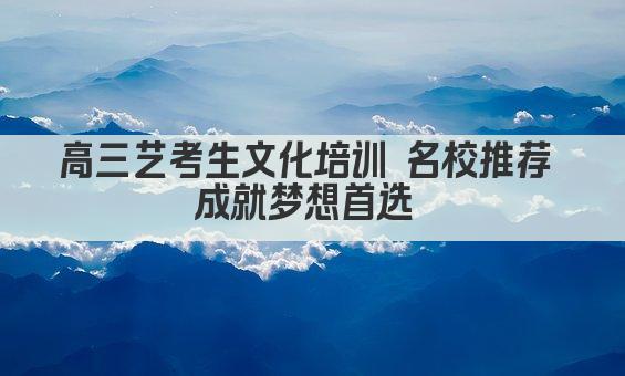 高三艺考生文化培训 名校推荐 成就梦想首选 