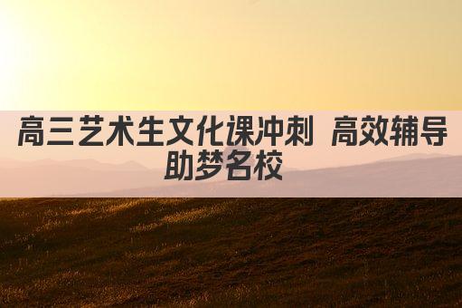高三艺术生文化课冲刺 高效辅导助梦名校 