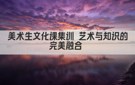 美术生文化课集训 艺术与知识的完美融合 