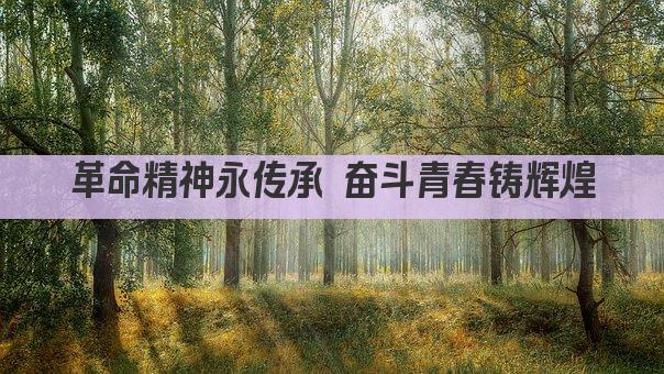 革命精神永传承 奋斗青春铸辉煌