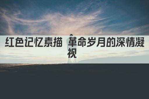 红色记忆素描 革命岁月的深情凝视 