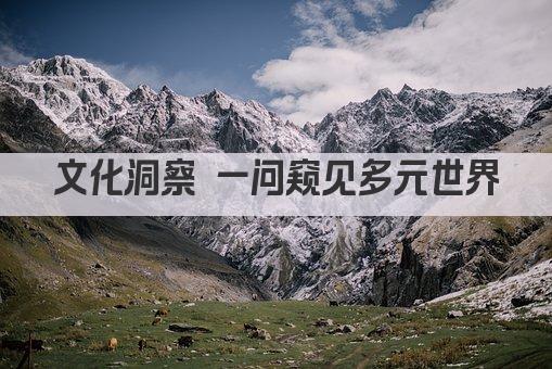 文化洞察 一问窥见多元世界