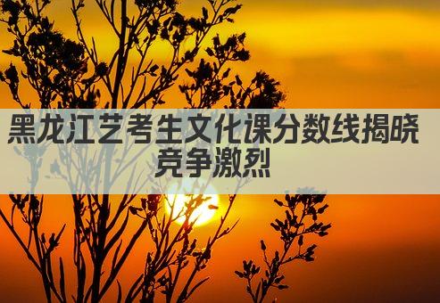 黑龙江艺考生文化课分数线揭晓 竞争激烈 