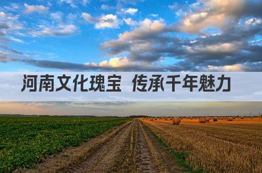 河南文化瑰宝 传承千年魅力 