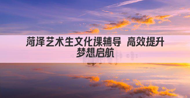 菏泽艺术生文化课辅导 高效提升 梦想启航 