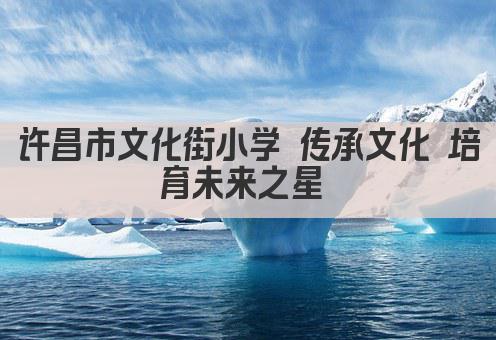 许昌市文化街小学 传承文化 培育未来之星 