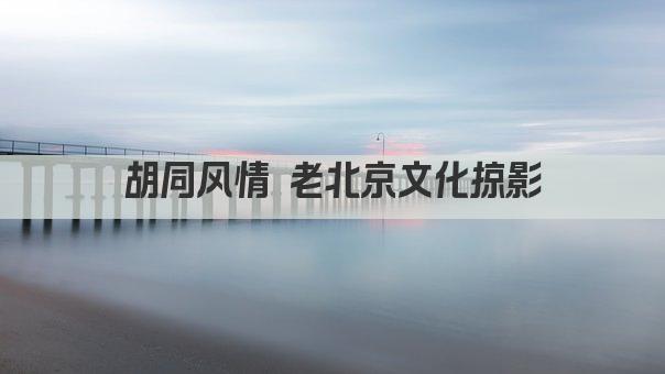 胡同风情 老北京文化掠影