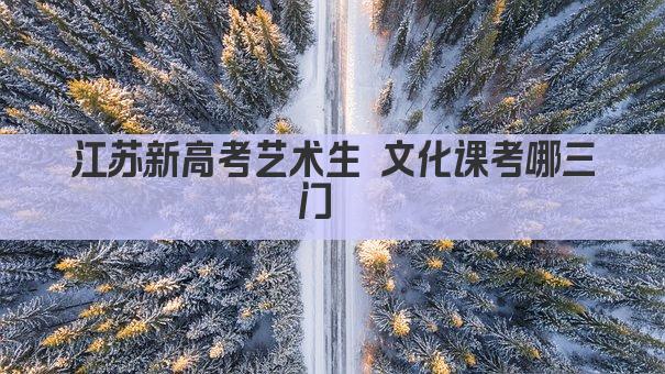 江苏艺术生新高考 文化课考哪三门  