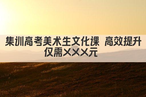集训高考美术生文化课 高效提升仅需XXX元 