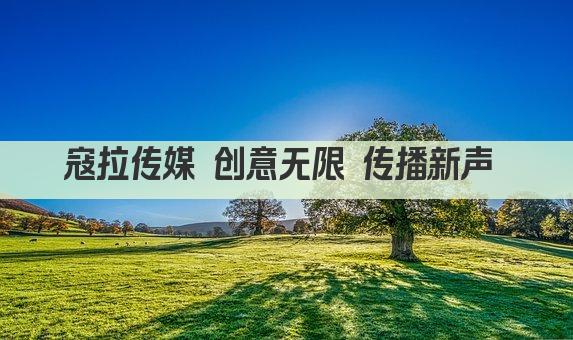 寇拉传媒 创意无限 传播新声 