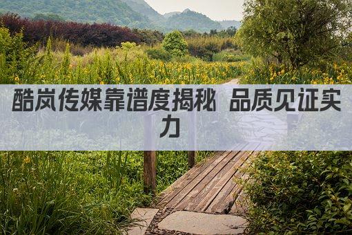酷岚传媒靠谱度揭秘 品质见证实力 