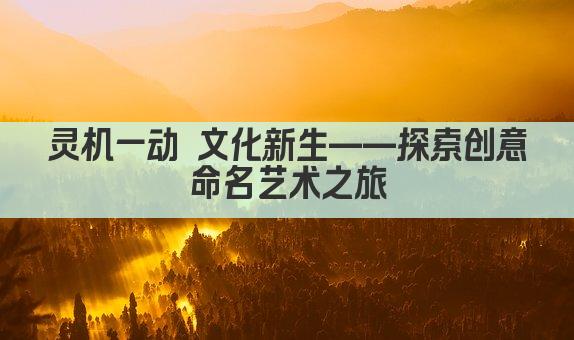 灵机一动 文化新生——探索创意命名艺术之旅