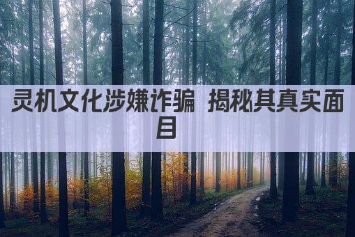 灵机文化涉嫌诈骗 揭秘其真实面目  
