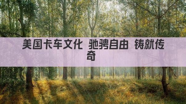 美国卡车文化 驰骋自由 铸就传奇 