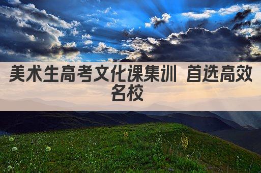 美术生高考文化课集训 首选高效名校 