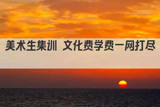 美术生集训 文化费学费一网打尽 