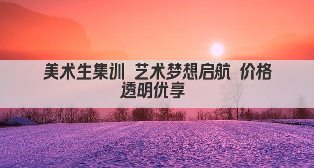 美术生集训 艺术梦想启航 价格透明优享 