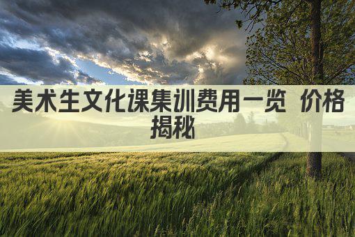 美术生文化课集训费用一览 价格揭秘 