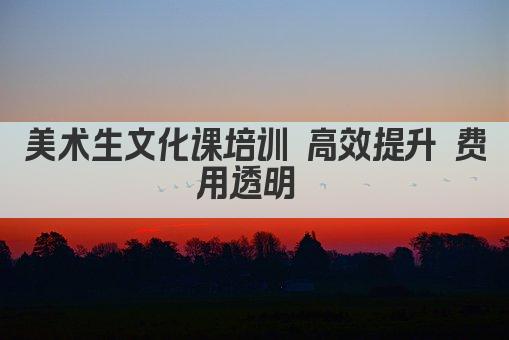 美术生文化课培训 高效提升 费用透明 