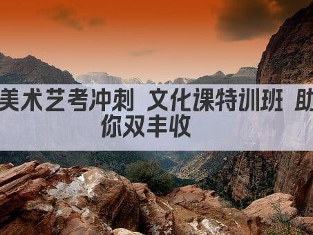 美术艺考冲刺 文化课特训班 助你双丰收  