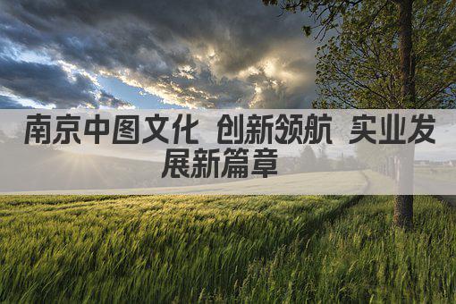 南京中图文化 创新领航 实业发展新篇章 