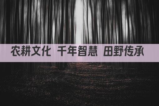 农耕文化 千年智慧 田野传承 