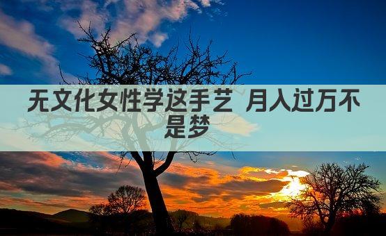 无文化女性学这手艺 月入过万不是梦 