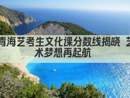 青海艺考生文化课分数线揭晓 艺术梦想再起航 