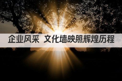 企业风采 文化墙映照辉煌历程