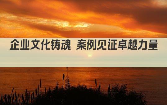 企业文化铸魂 案例见证卓越力量 