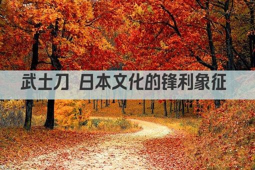 武士刀 日本文化的锋利象征 