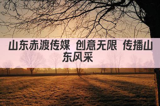 山东赤渡传媒 创意无限 传播山东风采 