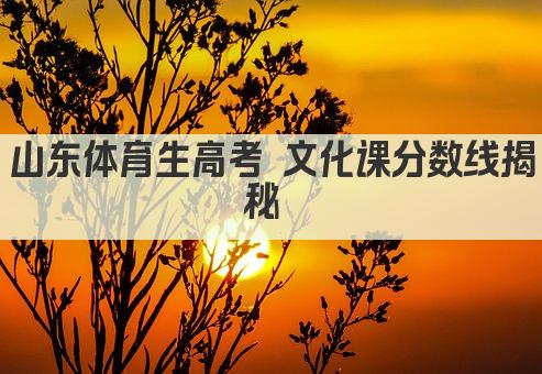 山东体育生高考 文化课分数线揭秘 