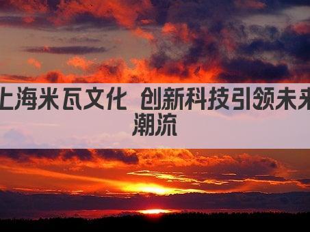 上海米瓦文化 创新科技引领未来潮流