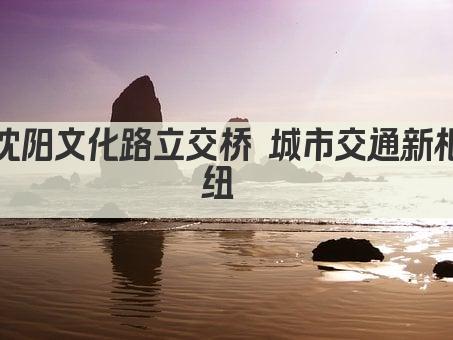 沈阳文化路立交桥 城市交通新枢纽 