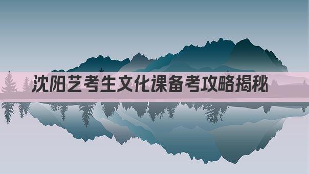 沈阳艺考生文化课备考攻略揭秘 