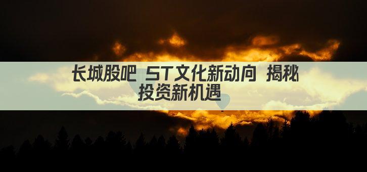 长城股吧 ST文化新动向 揭秘投资新机遇 
